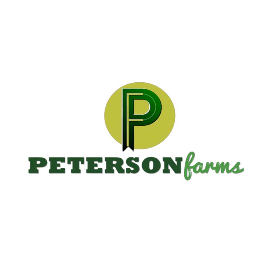 adobe-express---file-2